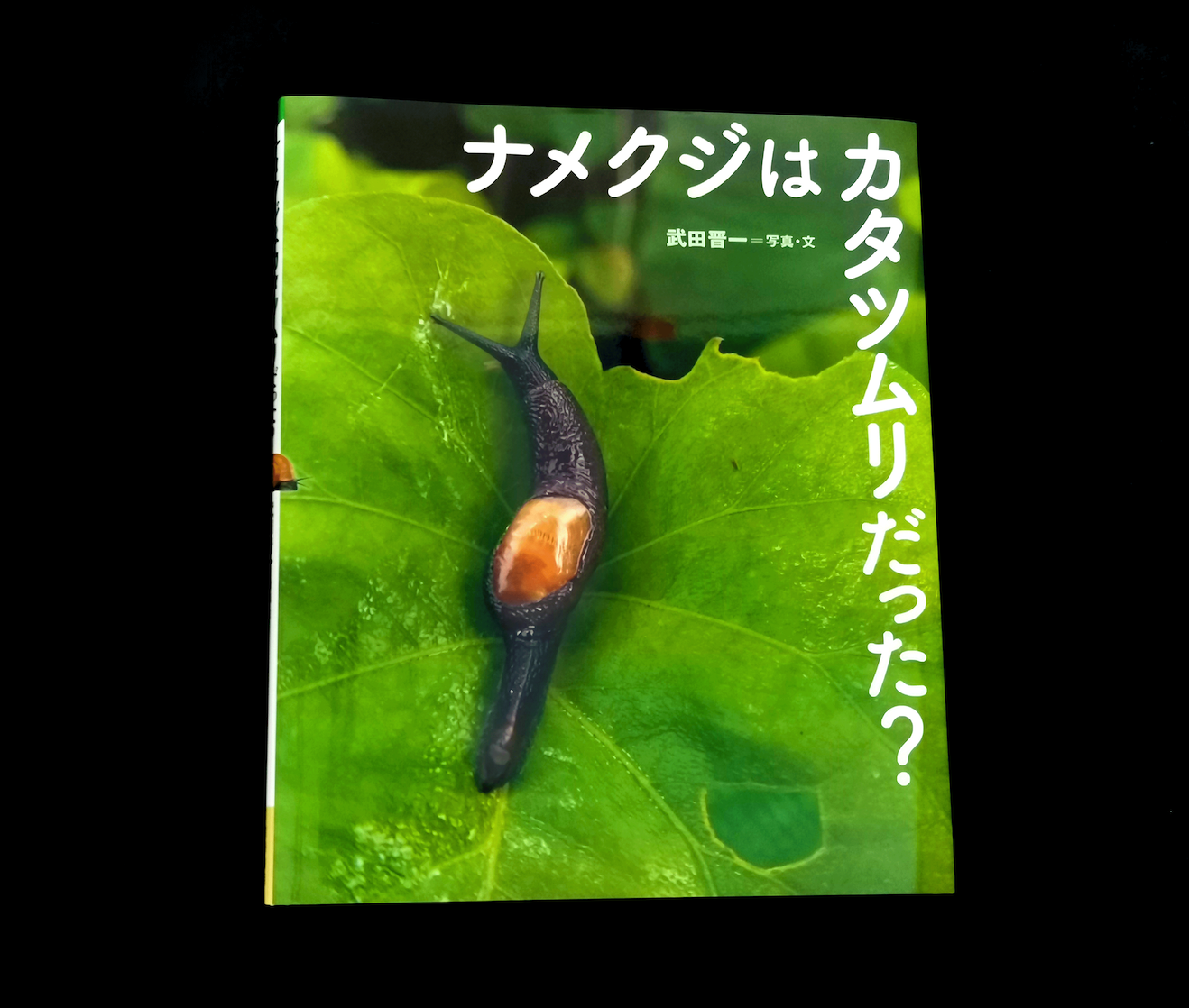 めくるめくほどに多種多様 カタツムリの不思議な進化に学ぶ一冊 東京印書館 写真集 展覧会図録 絵本 その他印刷物の企画制作 Tokyo Inshokan Printing Co Ltd