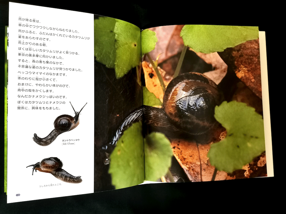めくるめくほどに多種多様 カタツムリの不思議な進化に学ぶ一冊 東京印書館 写真集 展覧会図録 絵本 その他印刷物の企画制作 Tokyo Inshokan Printing Co Ltd