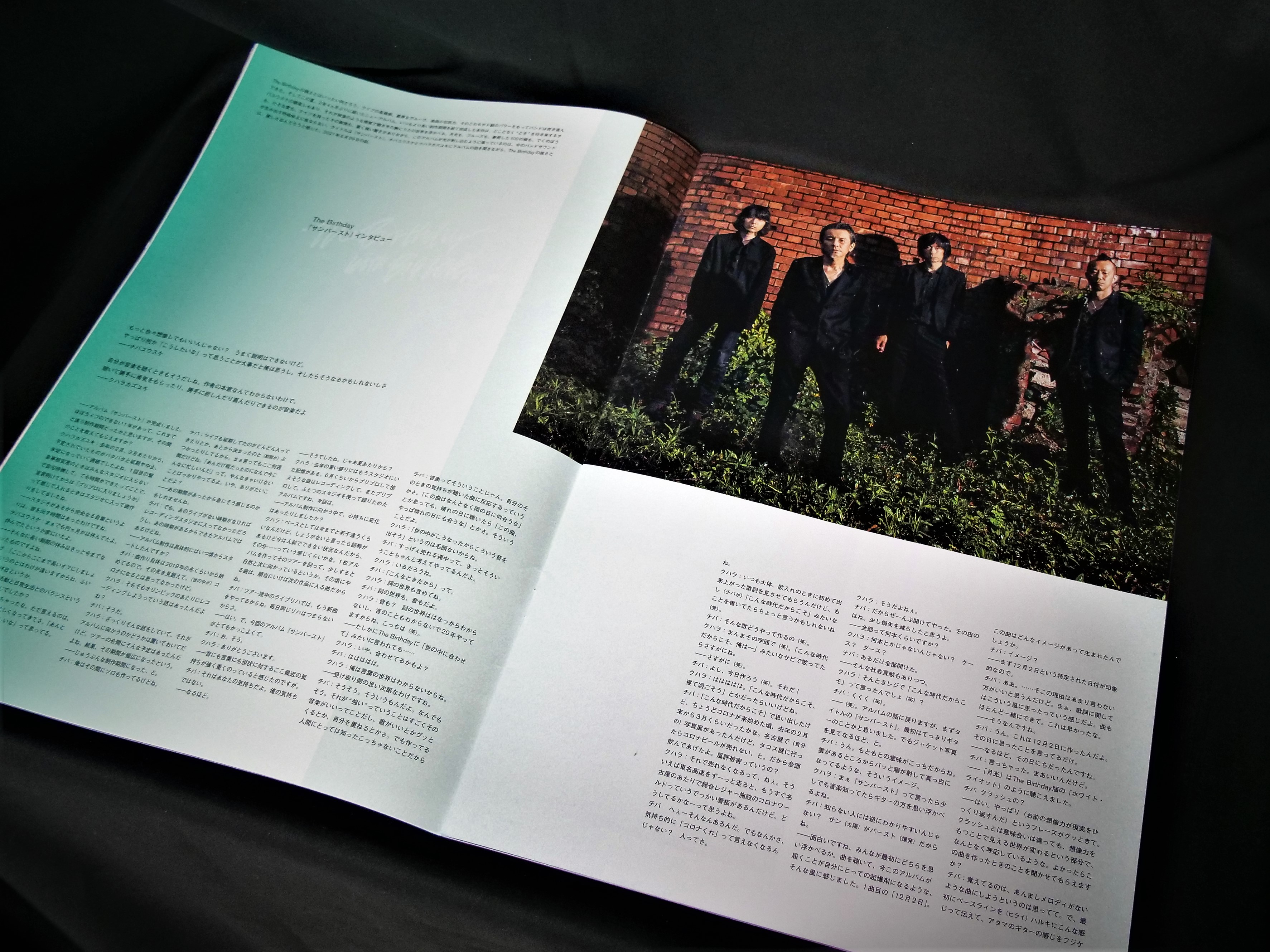 The Birthday チバユウスケ 表紙 音楽雑誌の通販 by すのこ's