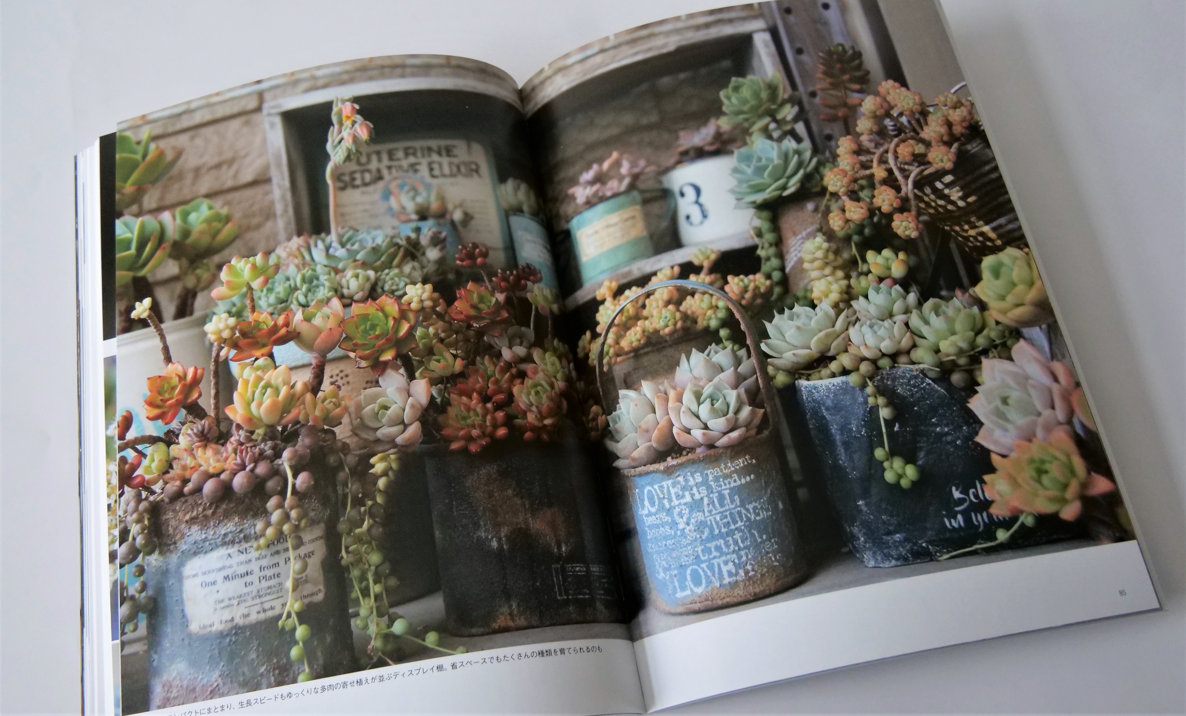 多肉植物写真集 原色多肉植物写真集 (1981年) |本 | 通販 | Amazon