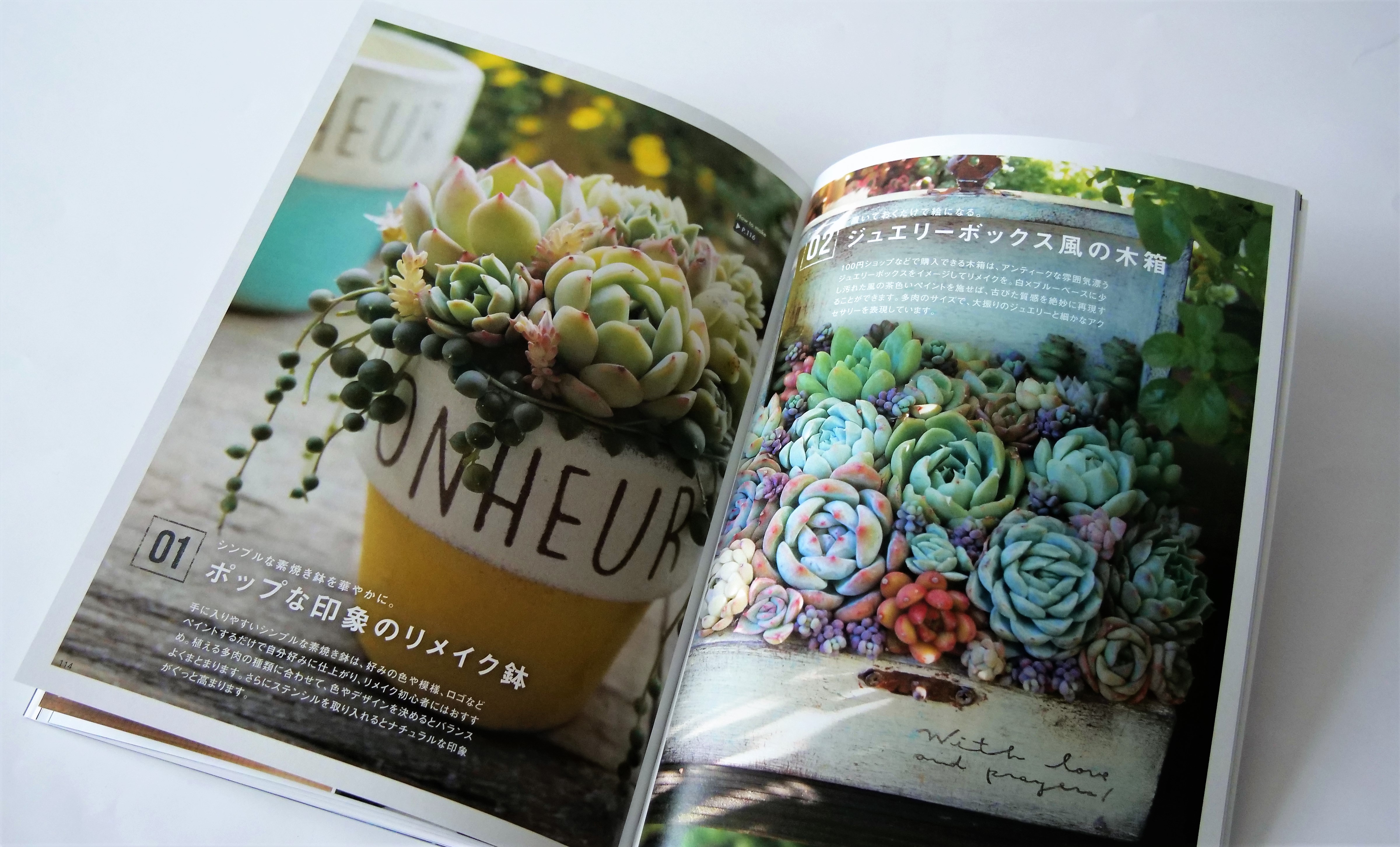 美しい写真とともに、多肉植物を存分に堪能できる一冊。全体的に