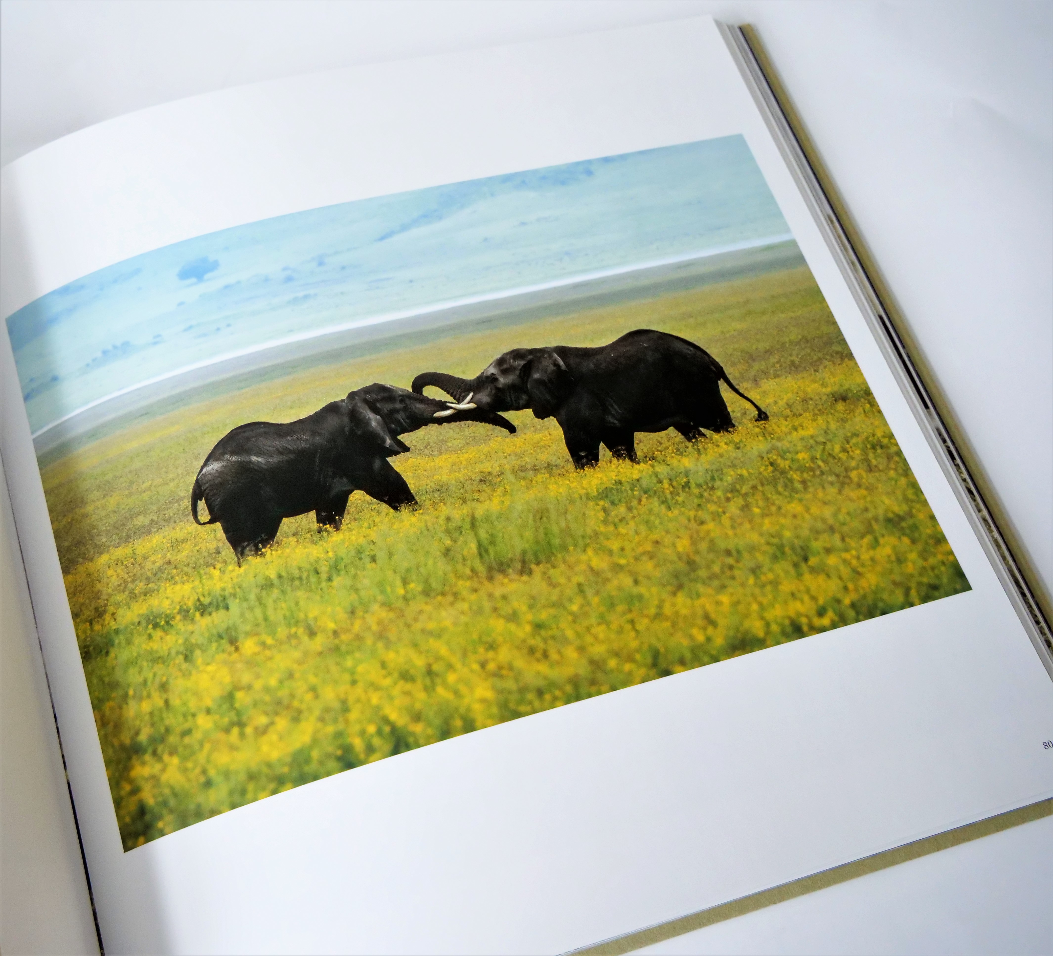 チョンイル PHOTO BOOK 『voyageur』  写真集 チョンイル PHOTO BOOK 『voyageur』 写真集