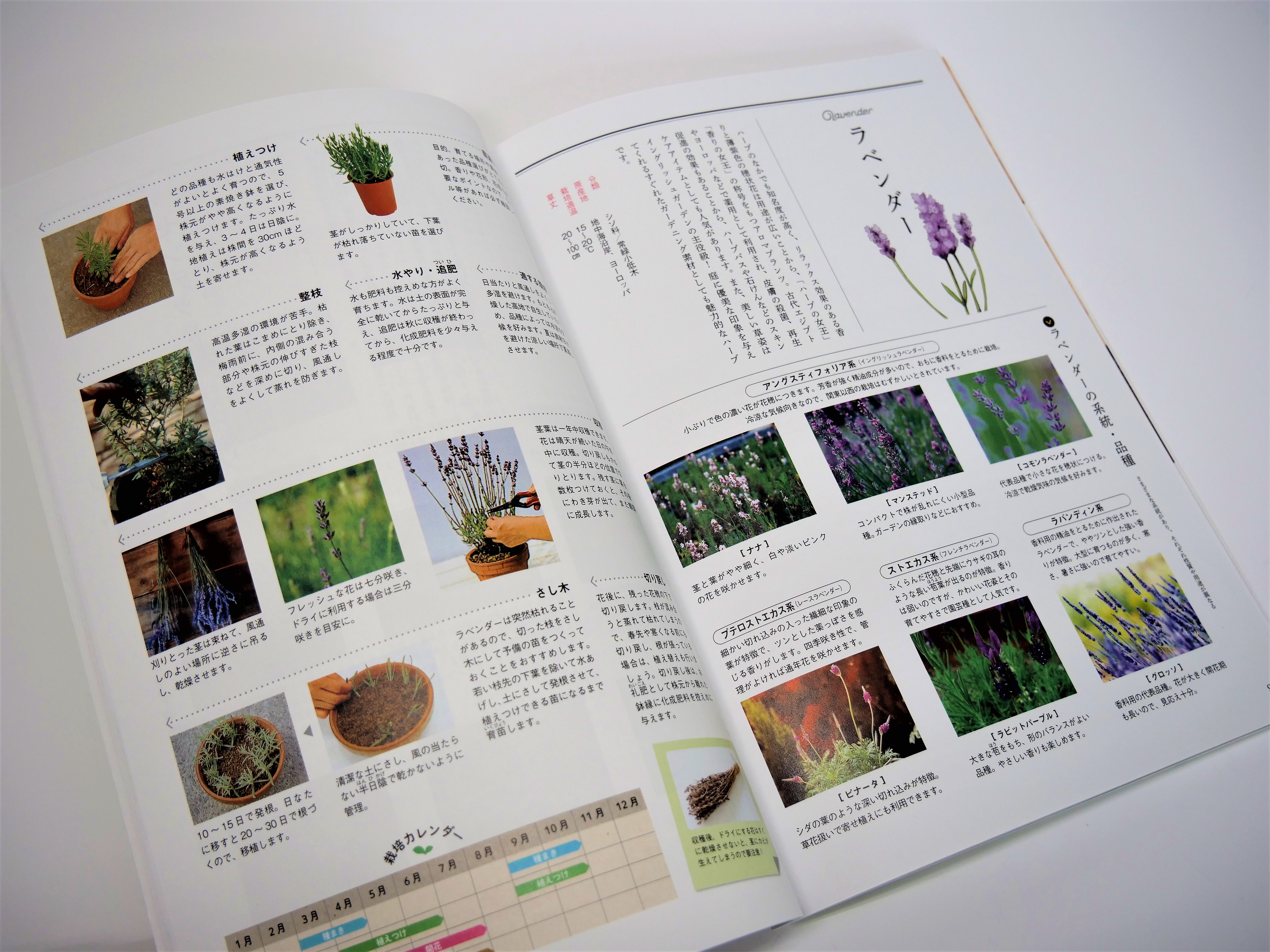 ハーブの育て方から 料理やクラフトなどへの利用法まで掲載した一冊 東京印書館 写真集 展覧会図録 絵本 その他印刷物の企画制作 Tokyo Inshokan Printing Co Ltd ハーブの育て方から 料理やクラフトなどへの利用法まで掲載した一冊 東京印書館 写真集 展覧会図録 絵本 その他印刷物の企画制作 Tokyo Inshokan Printing Co Ltd