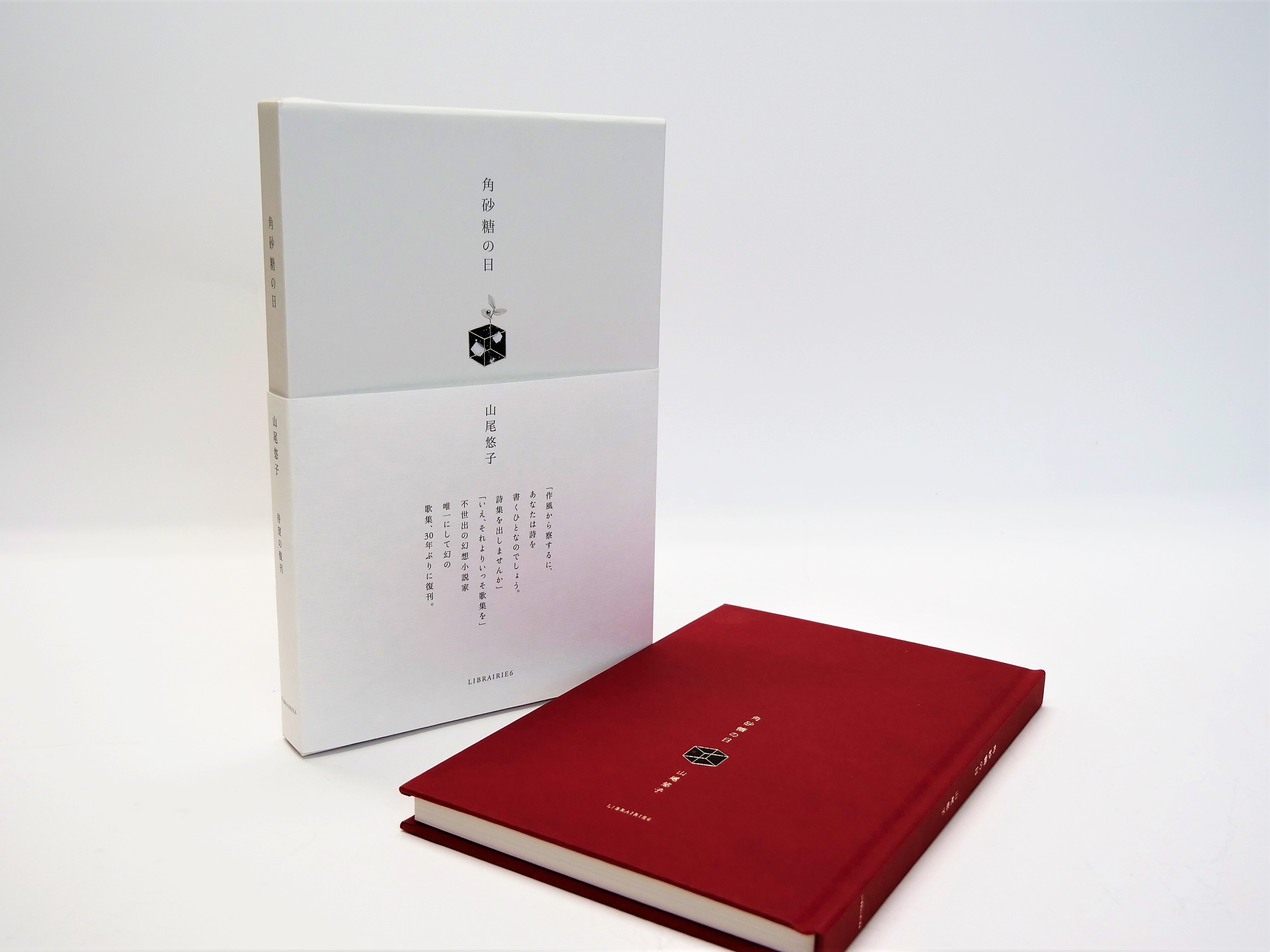第51回造本装幀コンクール文部科学大臣賞受賞。「幻の作家」山尾悠子の
