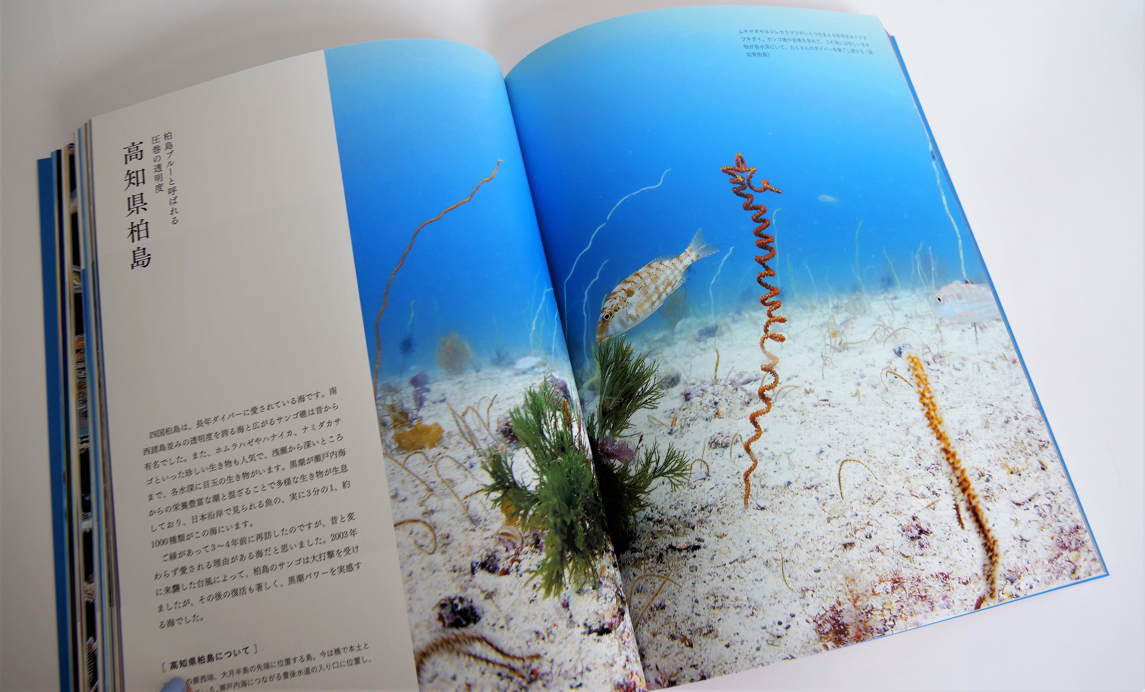 ‼️本日迄‼️新品‼️在庫処分‼️【洋書、写真集】 Shelf [シェルフは、写真集を中心とした洋書を専門に扱うブック