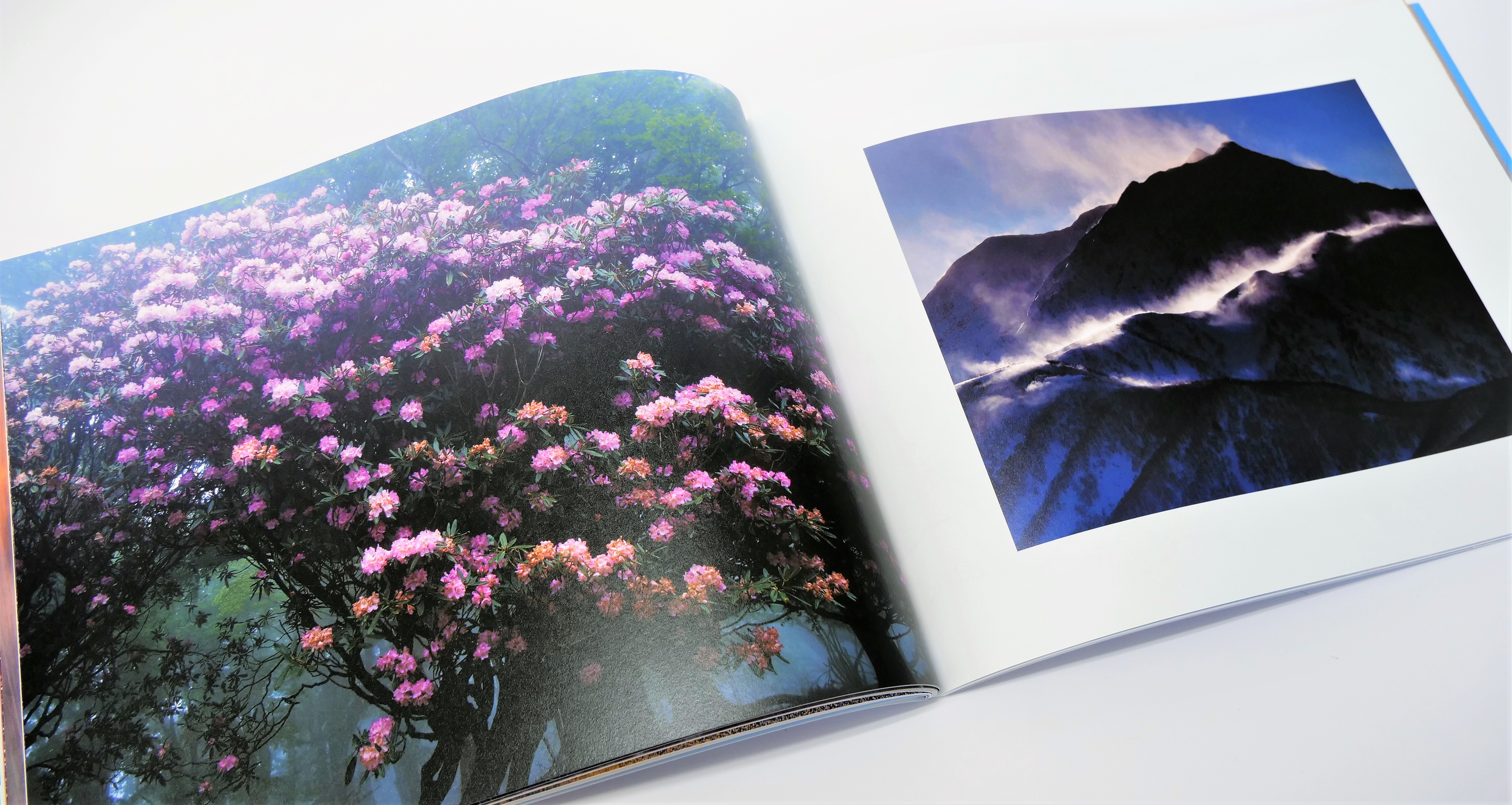 【洋書】The Art of Rio ブルー初めての空へ ビジュアルブック 洋書】The Art of Rio ブルー初めての空へ ビジュアルブック The