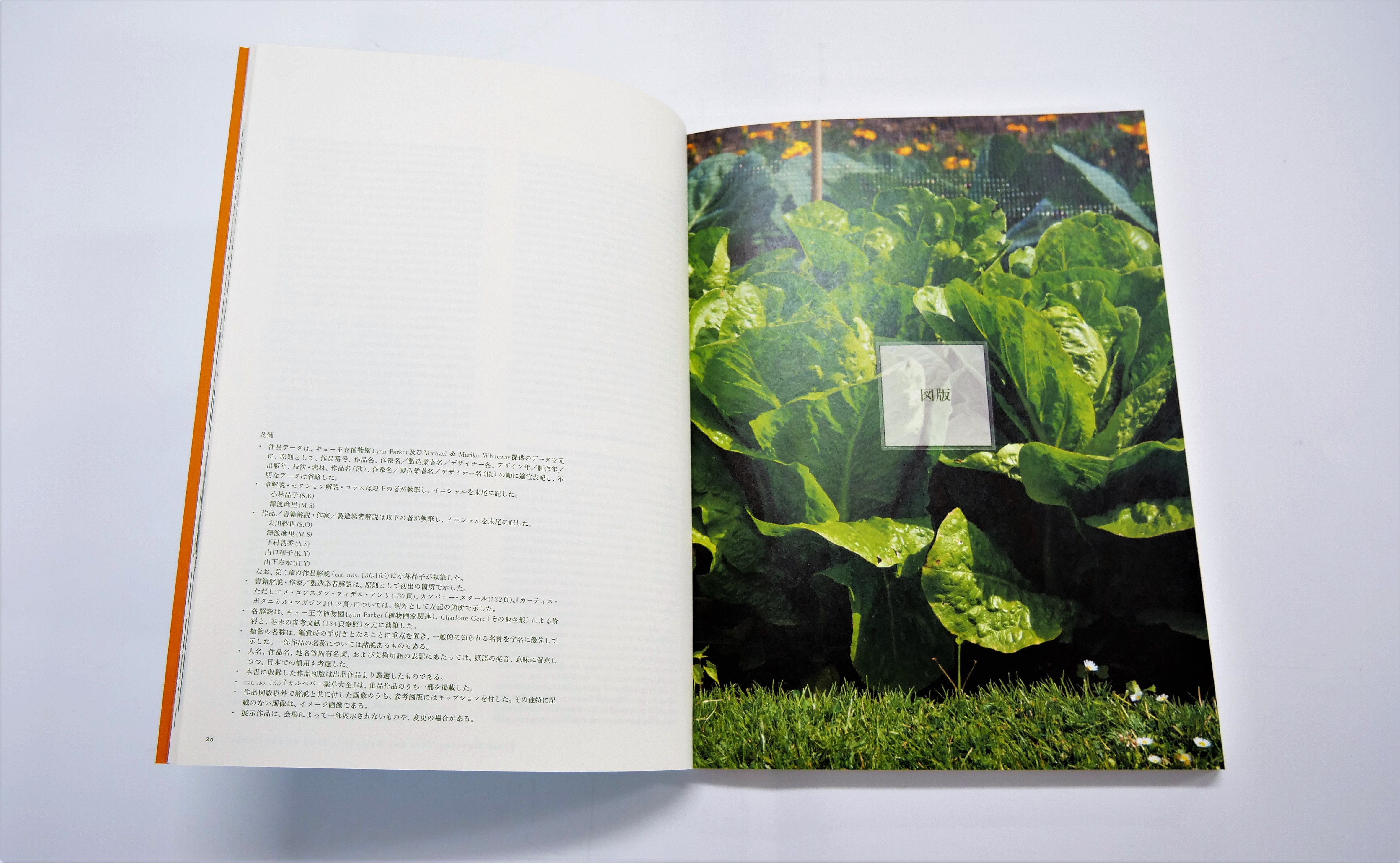 北久美子、夢奏植物園、希少画な集画、状態良好、新品高級額・額装付 見て味わう—―おいしそうな植物たちとイギリスのおもてなし
