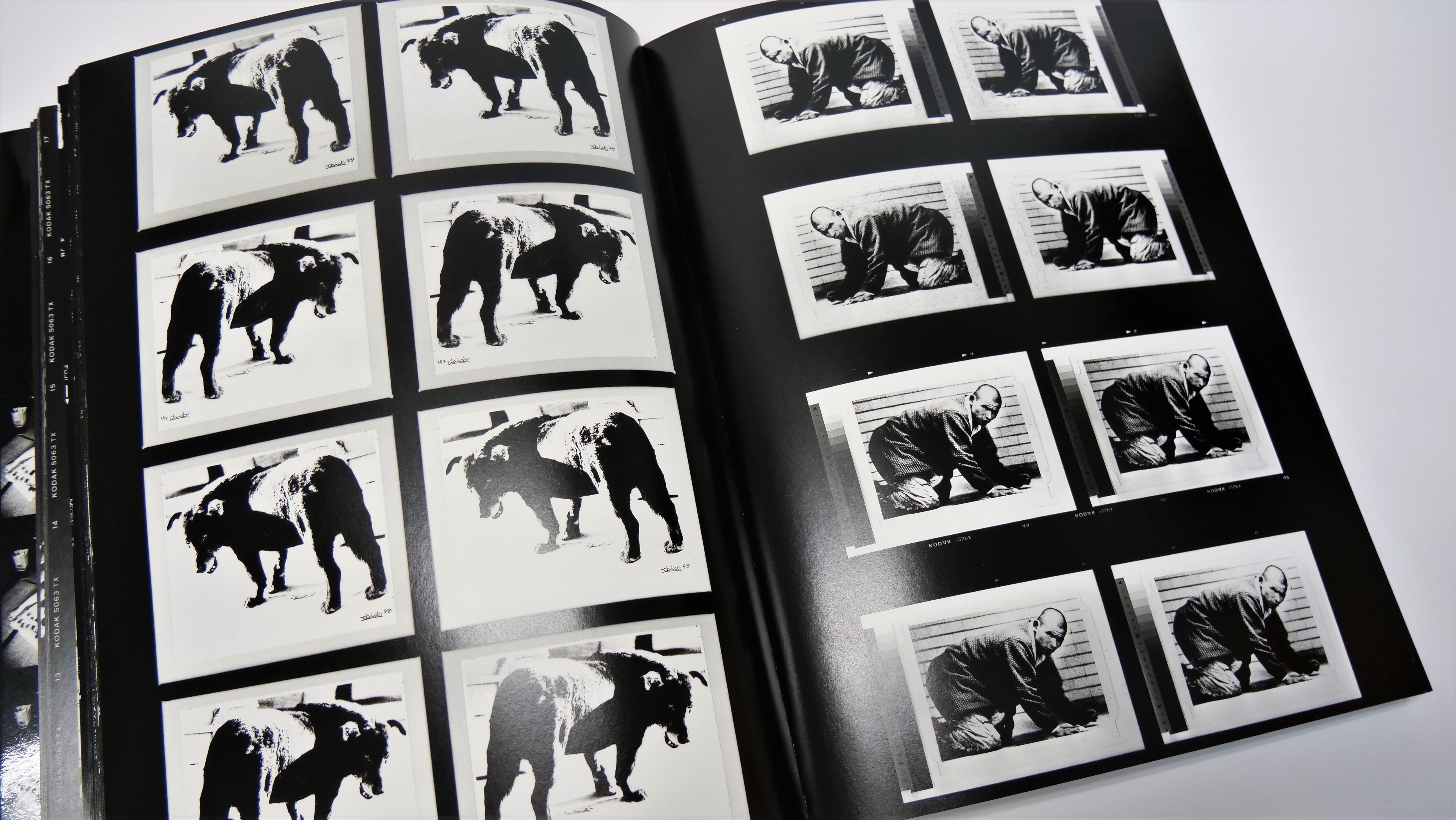 森山大道 LABYRINTH Labyrinth / 森山大道(Daido Moriyama) | bookobscura｜
