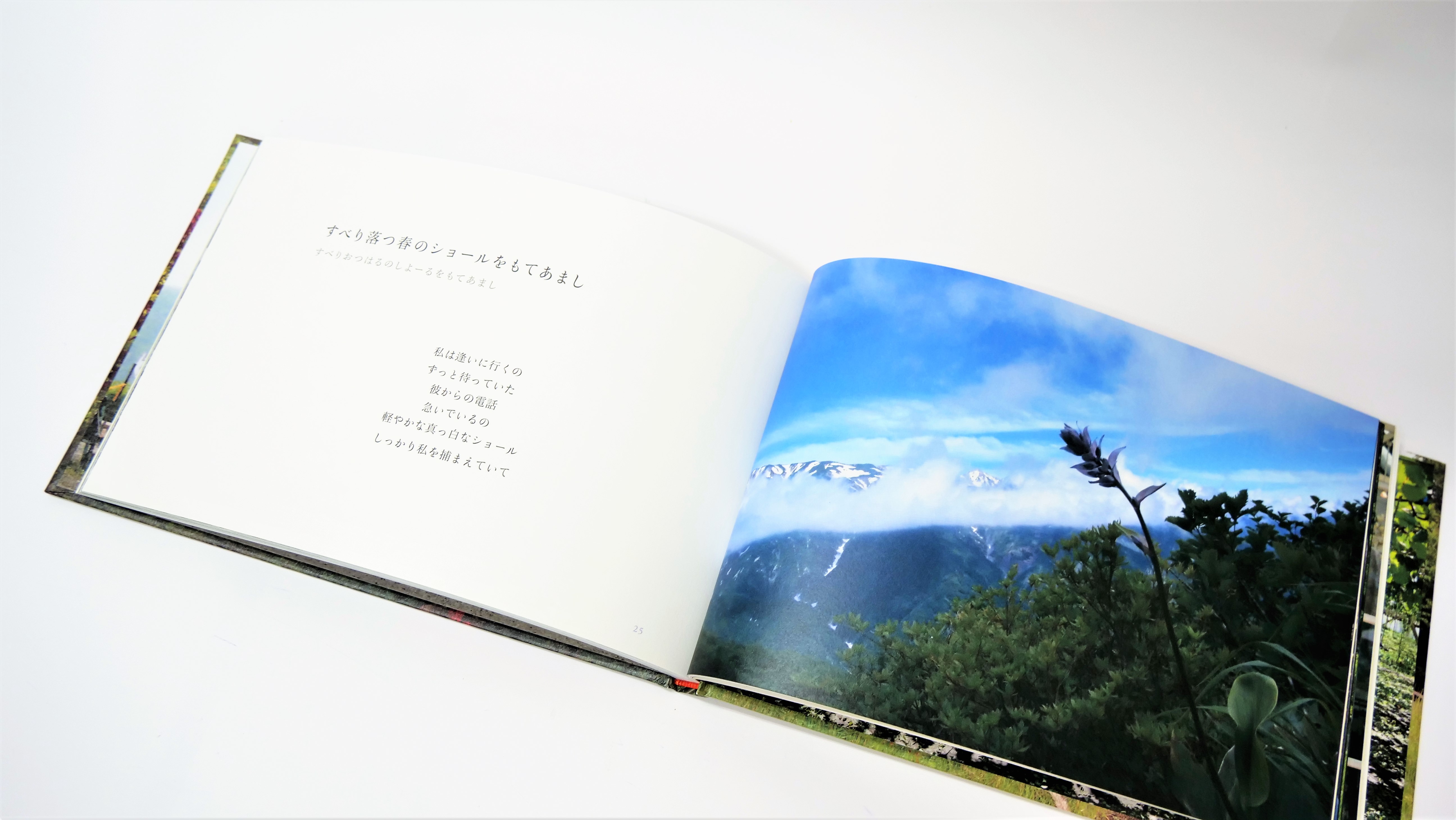 瞬彩　Ｗａｔｅｒ　ｃｏｌｏｒ/信濃毎日新聞社/関始（大型本） Pent〈ペント〉 ボトルインク 彩時記 夏～summer～ 幻蒼海（げん