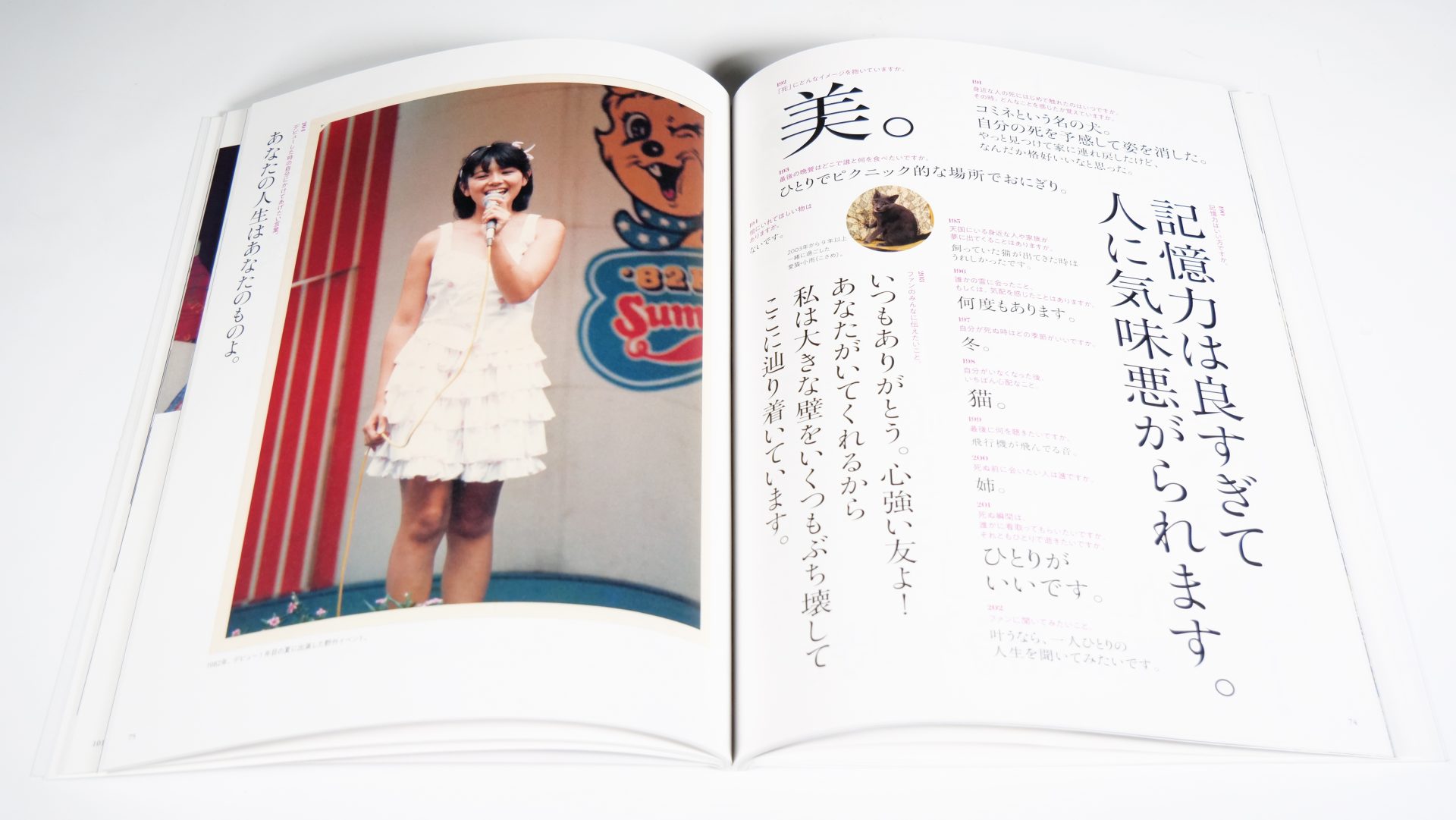 【中古】 ミステリー作家の休日 都会派傑作集/青樹社（文京区）/小泉喜美子 ミステリー作家の休日 - 光文社