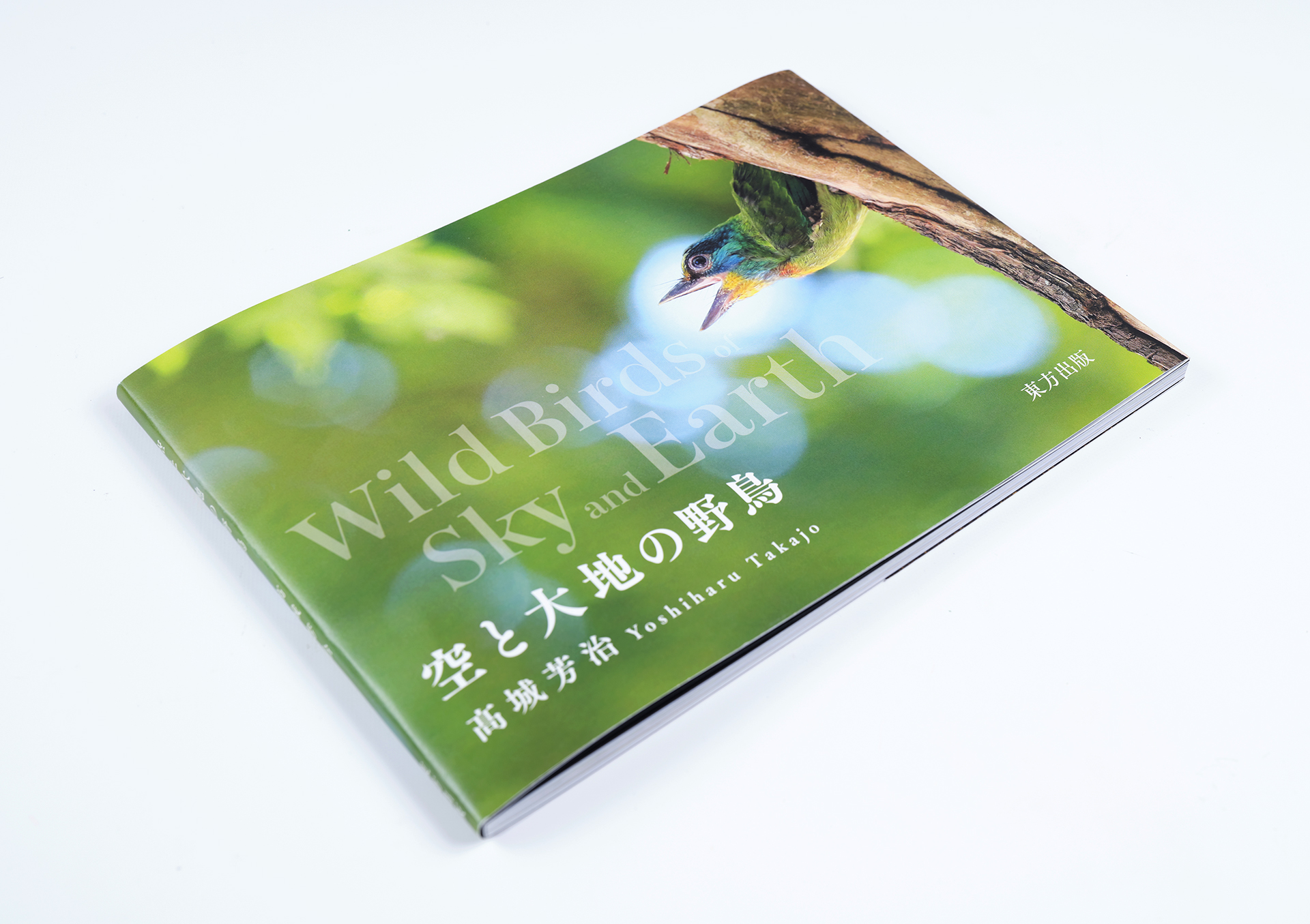 自然風景と青い鳥の掛軸 自然風景と青い鳥の掛軸